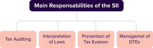 Infographic showing the four main functions of the SII