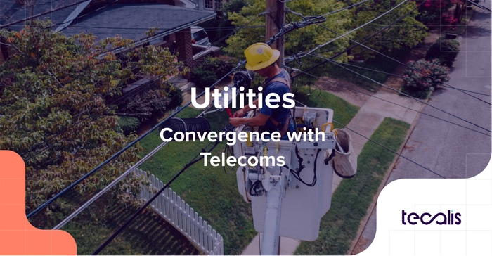 Utilities & Telecoms: Its convergence