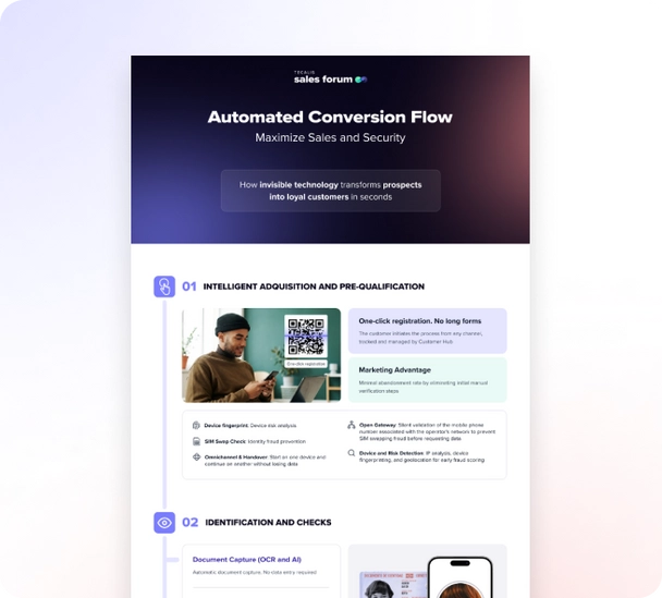 Automated Conversion Flow