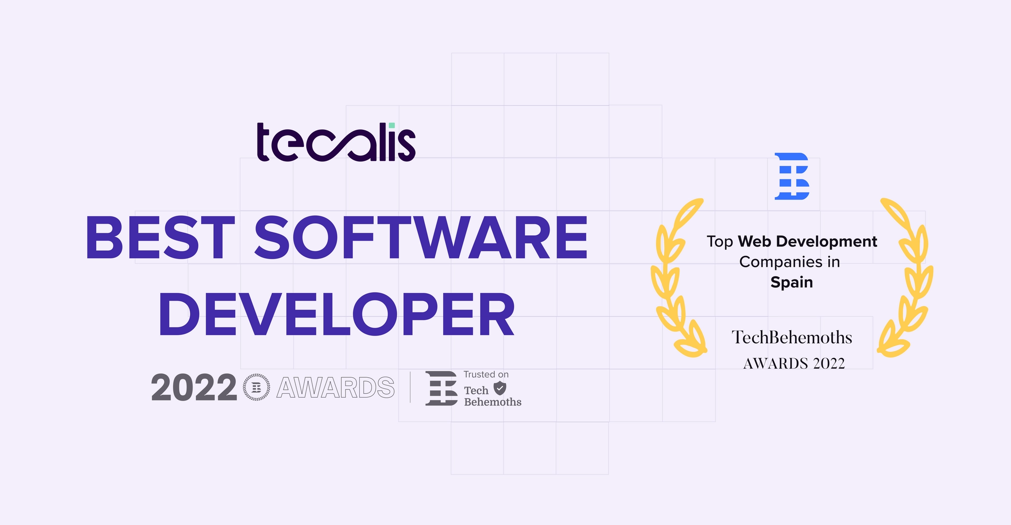 Premio TechBehemoths Mejor desarrollador de software | Best Software Developer 2022